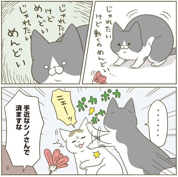 じゃれたいけど動くのめんどい… （C）卵山玉子／KADOKAWA