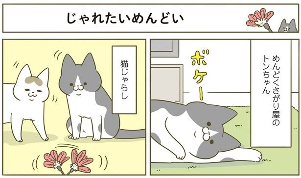 めんどくさがり屋 （C）卵山玉子／KADOKAWA