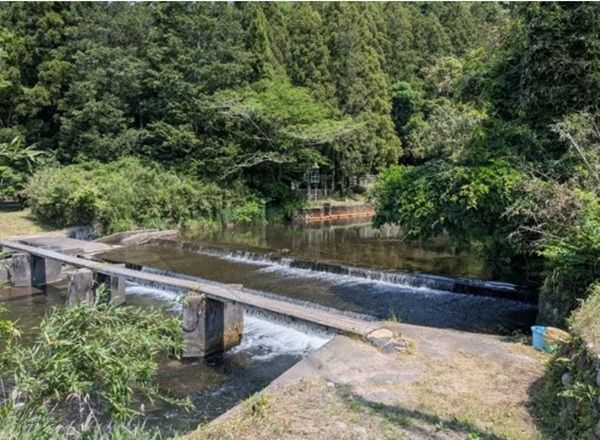 【茨城県北茨城市】NOKのグループ3社が「アユ稚魚放流体験活動」に協賛・参画。地元小学生とアユを放流