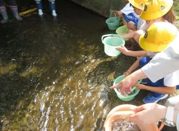 【茨城県北茨城市】NOKのグループ3社が「アユ稚魚放流体験活動」に協賛・参画。地元小学生とアユを放流
