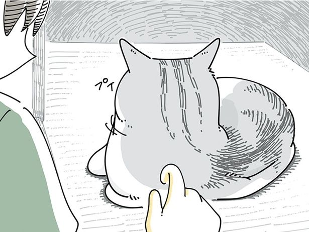 猫の後頭部が気になる （C）キュルZ／KADOKAWA