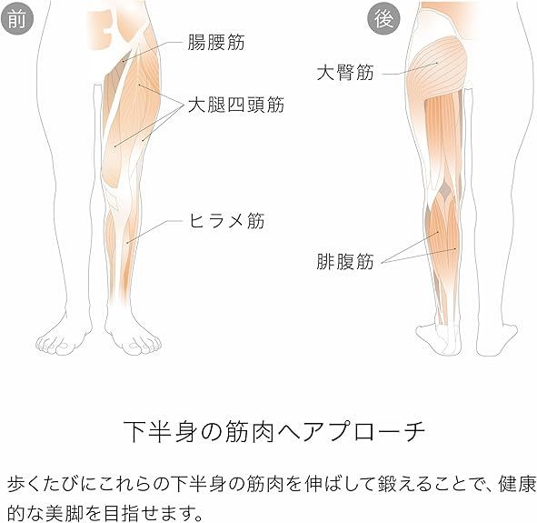 [＆MEDICAL] 【新型】 アンドメディカル KAMOLEG2.0 スリッパ 室内 ルームシューズ ダイエットスリッパ 健康スリッパ