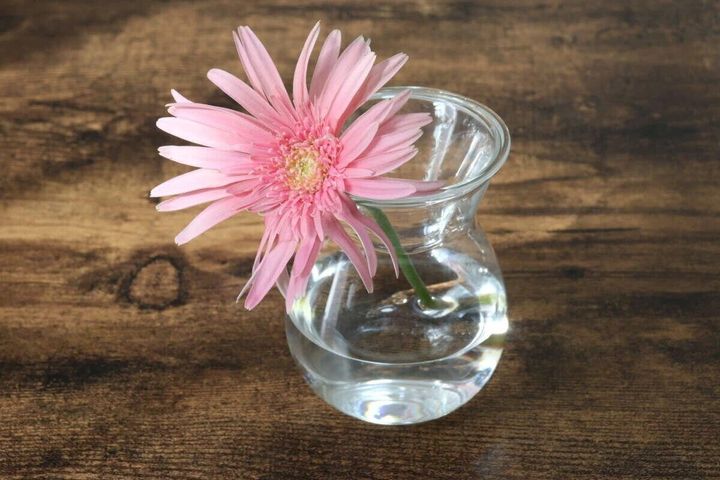 ダイソー セパレート花瓶 使用例