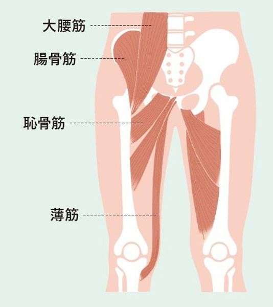 「恥骨筋」の位置をチェック！