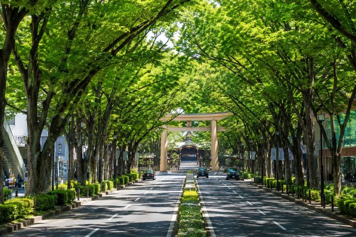 『表参道』はもともと明治神宮への参拝道として大正時代に整えられた一本道！ケヤキ並木も駅名も神社を中心にかたちづくられてきた