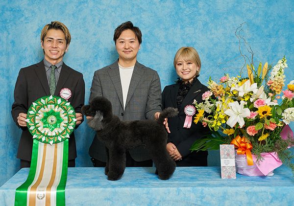 【兵庫県西宮市】皮膚・被毛ケアに特化した「Dog Care Salon LUCERA」開店！サブスク制美容プラン導入