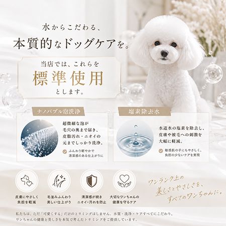 【兵庫県西宮市】皮膚・被毛ケアに特化した「Dog Care Salon LUCERA」開店！サブスク制美容プラン導入