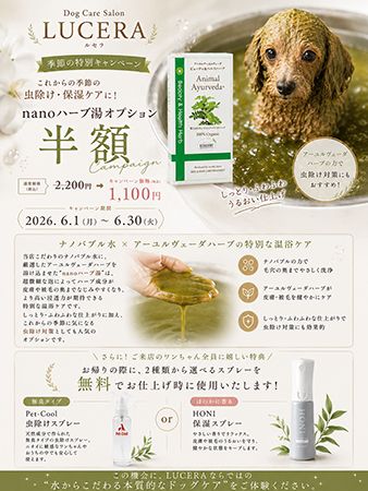 【兵庫県西宮市】皮膚・被毛ケアに特化した「Dog Care Salon LUCERA」開店！サブスク制美容プラン導入