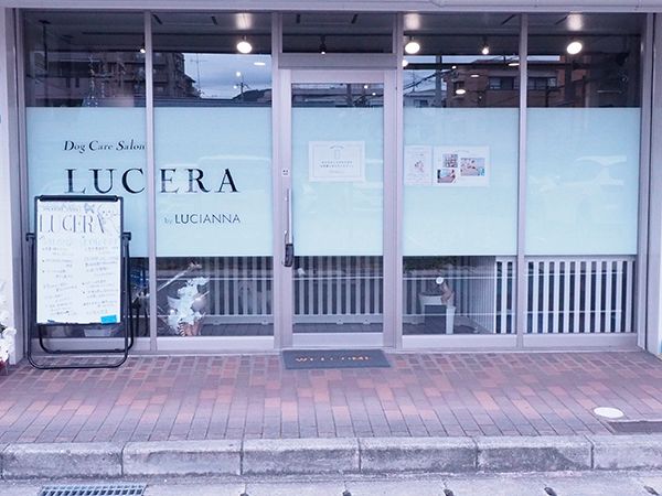 【兵庫県西宮市】皮膚・被毛ケアに特化した「Dog Care Salon LUCERA」開店！サブスク制美容プラン導入