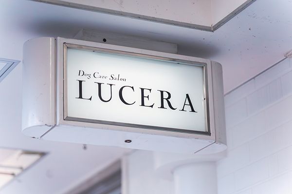 【兵庫県西宮市】皮膚・被毛ケアに特化した「Dog Care Salon LUCERA」開店！サブスク制美容プラン導入