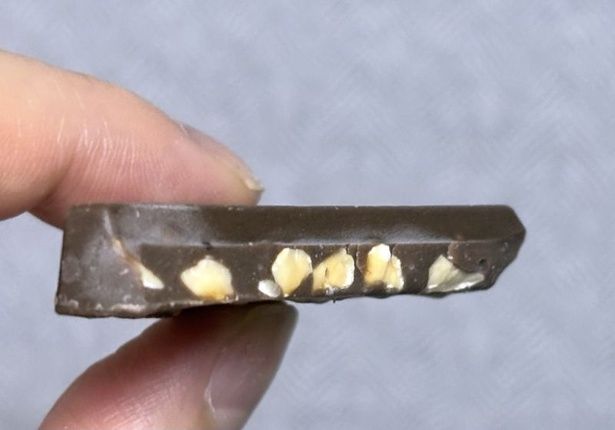 「チョコか？BLOCK TYPE(ブロックタイプ) ヘーゼルナッツ」の断面。たっぷりヘーゼルナッツが入っている