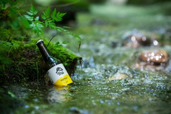 【長野県駒ヶ根市】駒ヶ根高原リゾートリンクス20周年記念！地元の酒と食材をテーマにした食の祭典を開催