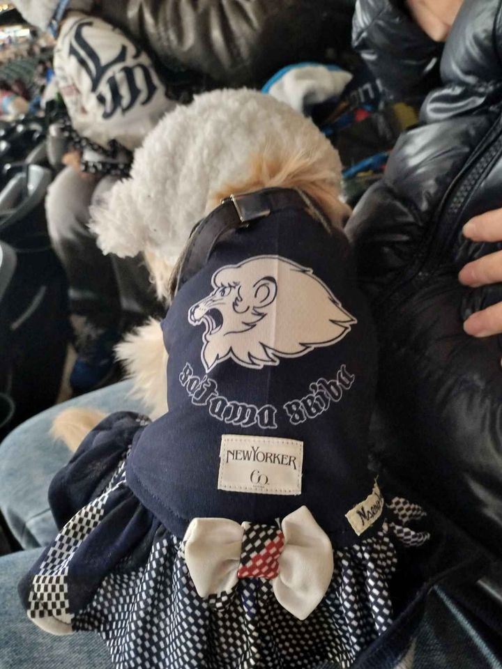 画像: トロロちゃんのバックショット