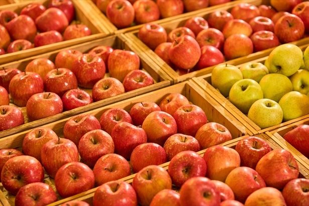 青森が生産量日本一！「りんご」がコンセプトの客室が誕生