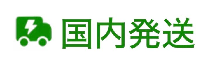TEMU 国内発送