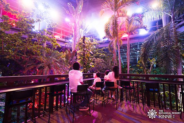【茨城県那珂市】泊まれる植物園・林音、予約不要の「森のジップラインプラン」など2つのプランを開始
