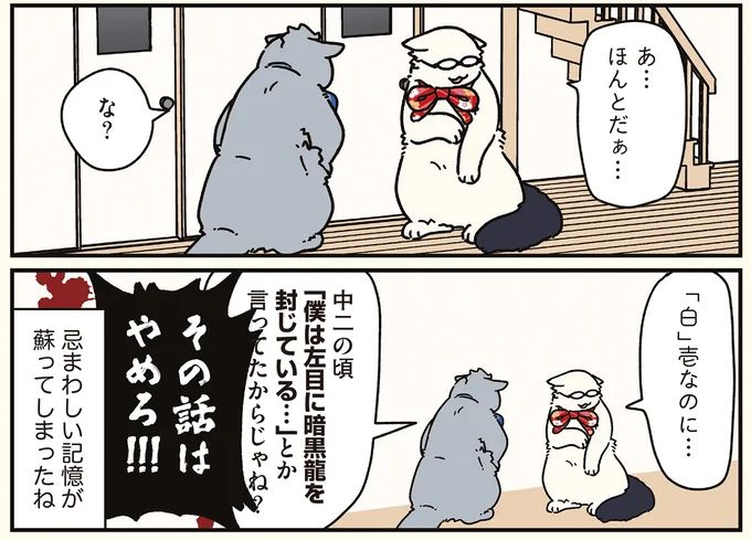 16258966.webp