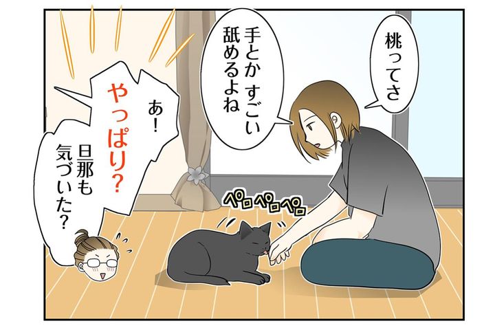 【マンガ・老猫日誌＃89】桃姐が心を開いてくれたから〜思い出の老猫日誌・桃姐と小論