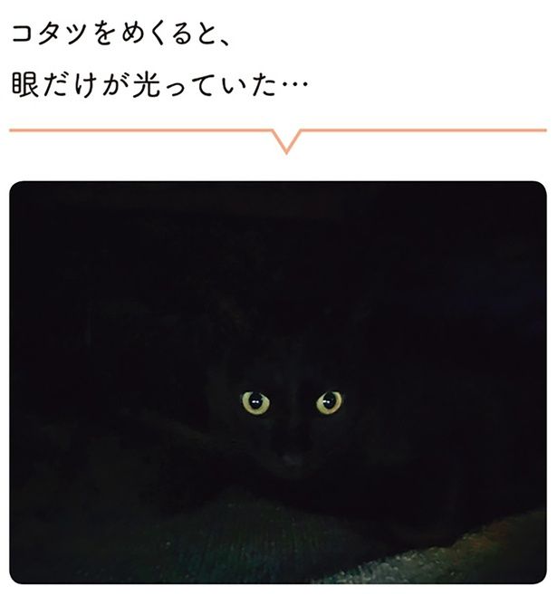 眼だけが光っていた… （C）AKR／KADOKAWA