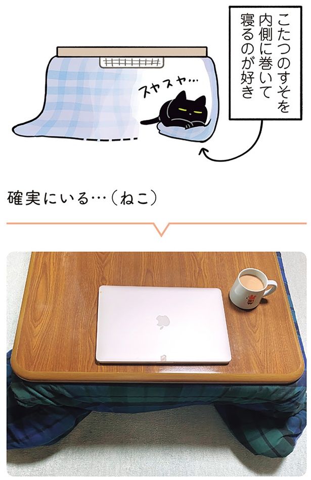 確実にいる…（ねこ） （C）AKR／KADOKAWA