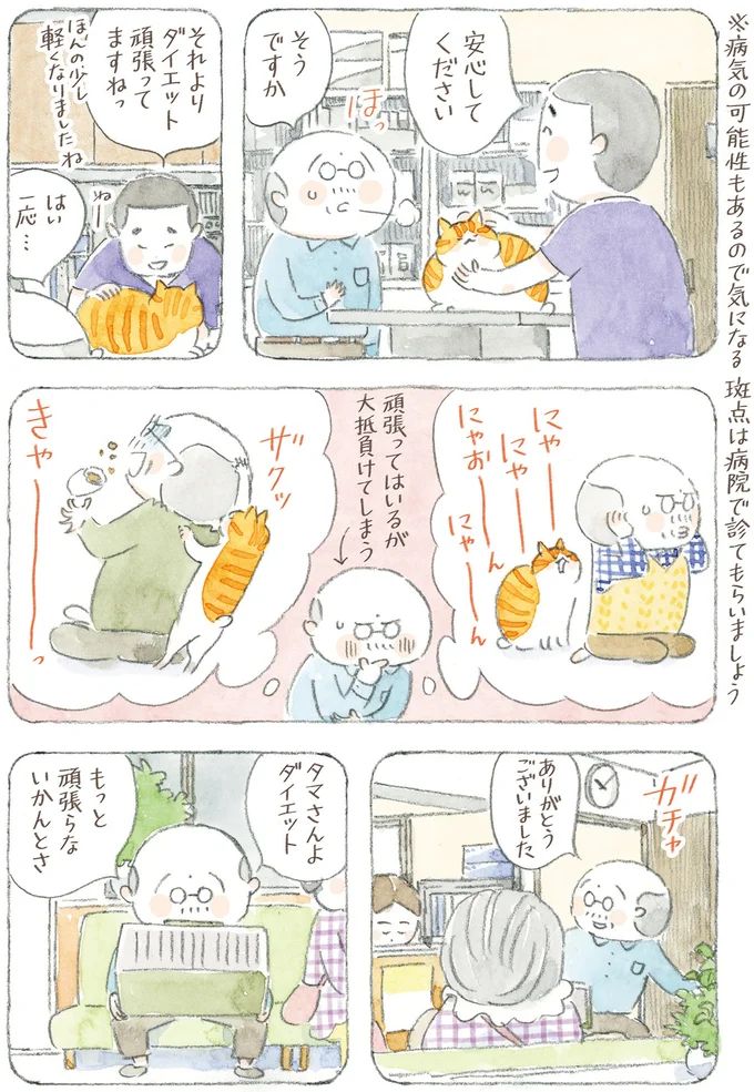 16341768.webp