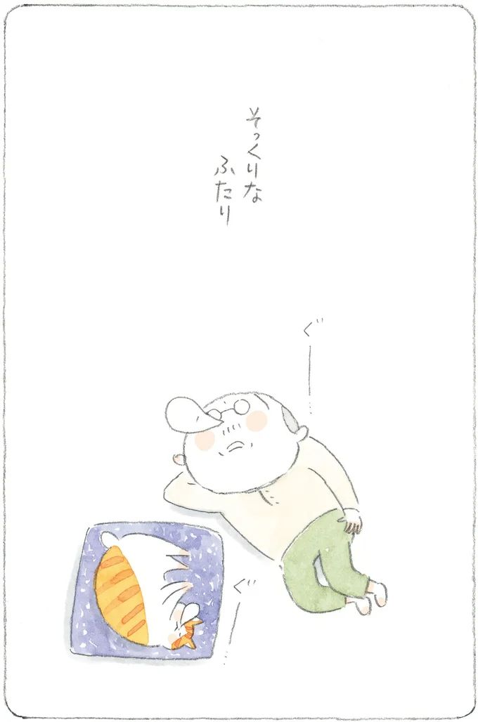 16341764.webp
