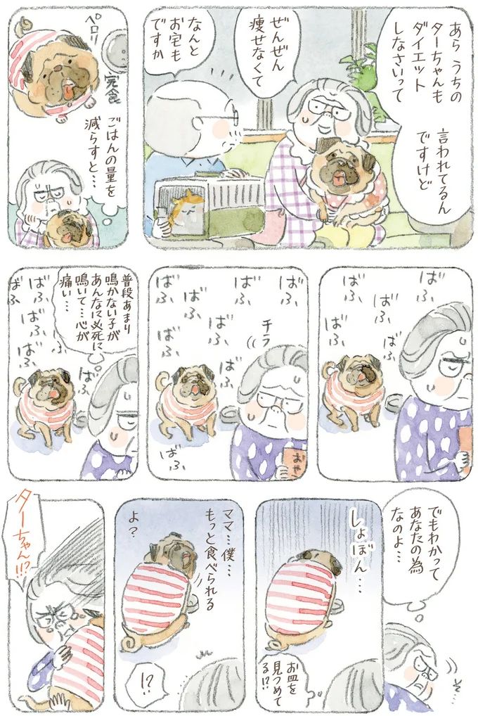 16341769.webp