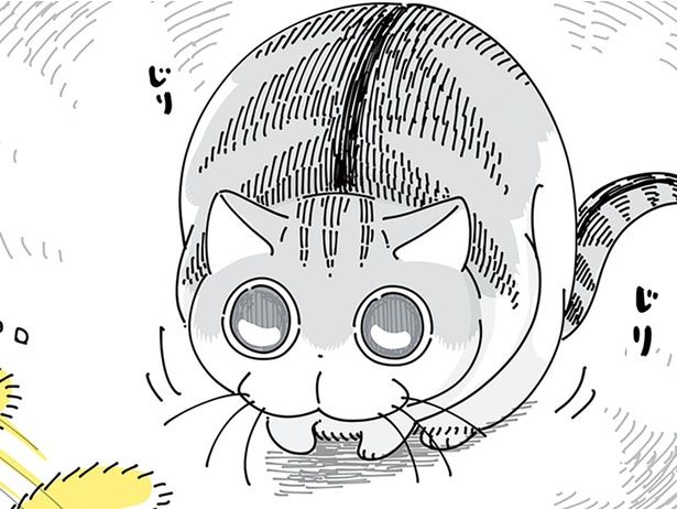 緊張する…！ （C）キュルZ／KADOKAWA
