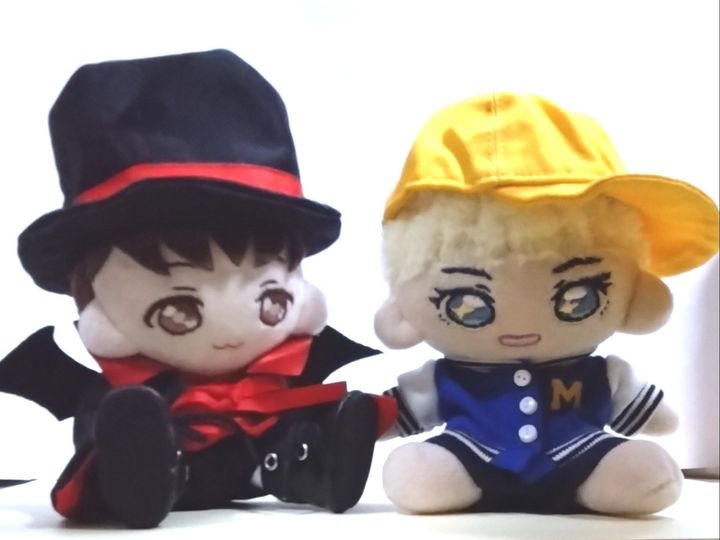 推し活が楽しくなる！手作り「推しぬい」