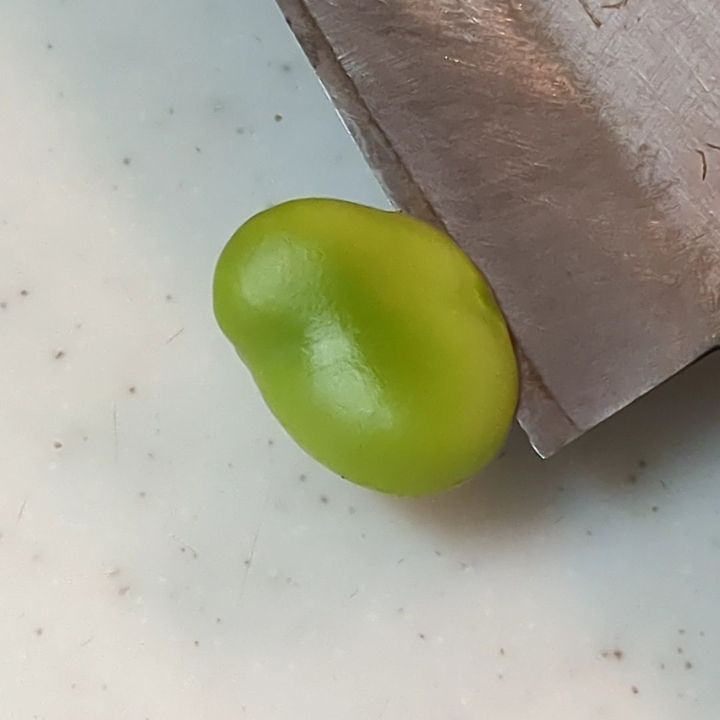 内側の皮も剥きます！