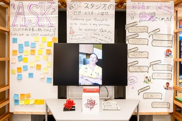 科学者たちと交流できる、OISTならではの掲示板