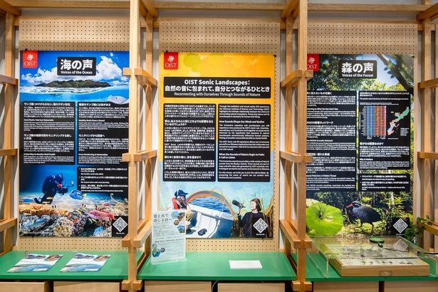 沖縄の自然や生命、大地のことなど、子どもだけでなく大人も「へぇ〜」と頷いてしまう、展示がいっぱい