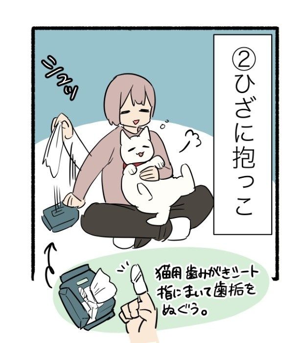 抱っこが大好きな甘えん坊な猫はまだこれから何が起こるかわかっていない 久川はる(@hisakawa_haru)