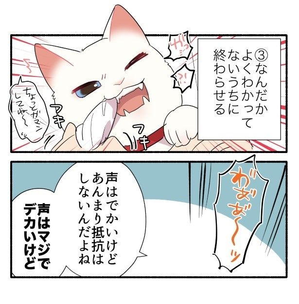 「やめろ～」と叫ぶわりには、抵抗はしてこない 久川はる(@hisakawa_haru)