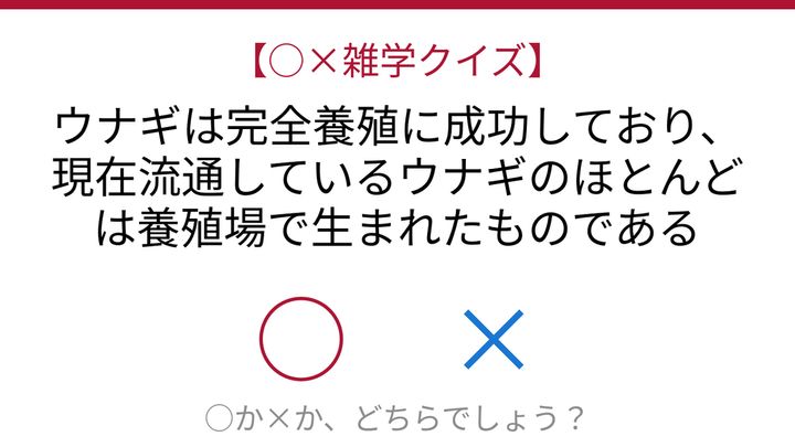 【○×雑学クイズ】これ本当？ウナギの養殖事情の問題画像