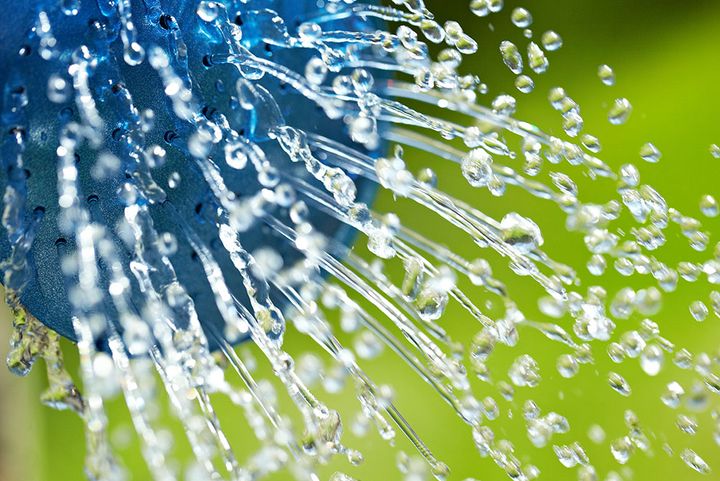 水やり