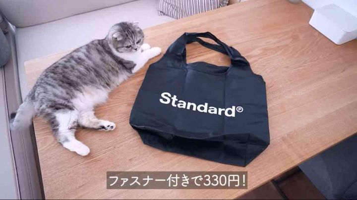 スタンダードプロダクツ┃保冷ショッピングバッグ