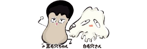 黒毛穴ちゃん、白毛穴さん