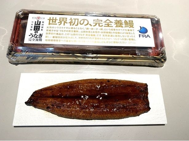 脂がのっておいしそう