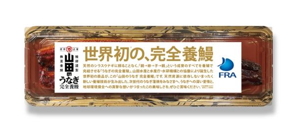 世界初の完全養殖ウナギ
