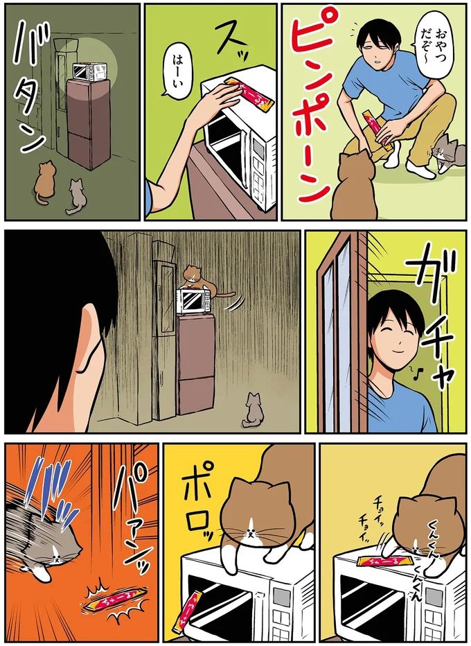 16212442.webp