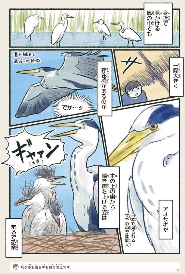でか…ッ （C）piro piro piccolo／KADOKAWA