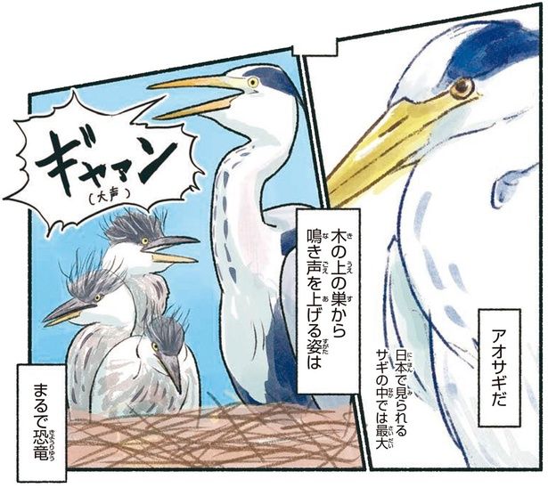 まるで恐竜 （C）piro piro piccolo／KADOKAWA