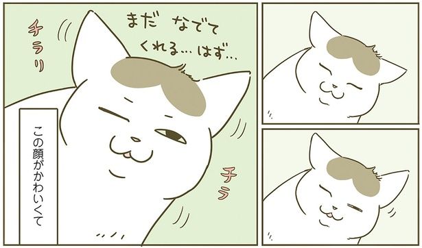 この顔がかわいくて （C）卵山玉子／KADOKAWA