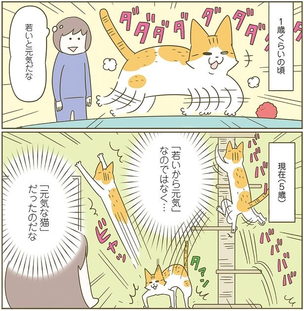 年齢は関係ない （C）卵山玉子／KADOKAWA