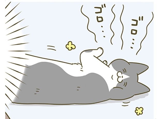 「かわいい」と言われるのが大好きな猫 （C）卵山玉子／KADOKAWA