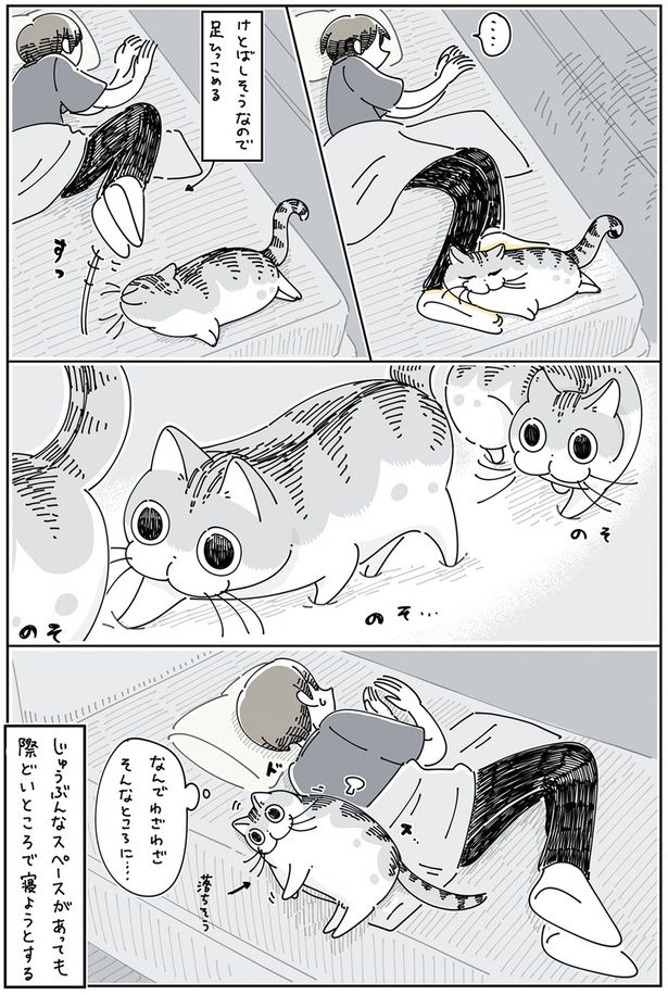 なんでわざわざそんなところに… （C）キュルZ／KADOKAWA