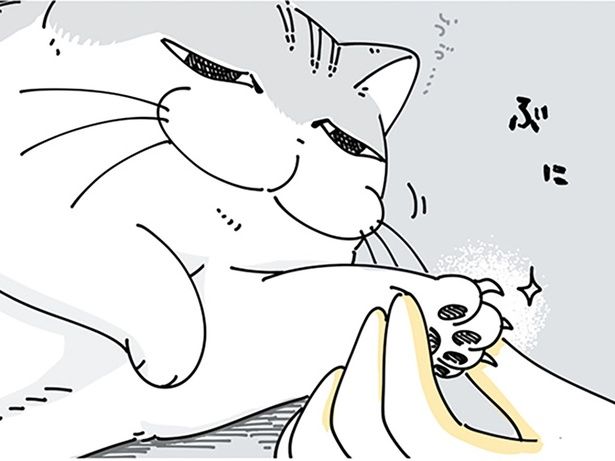 爪切りがしやすいタイミング （C）キュルZ／KADOKAWA