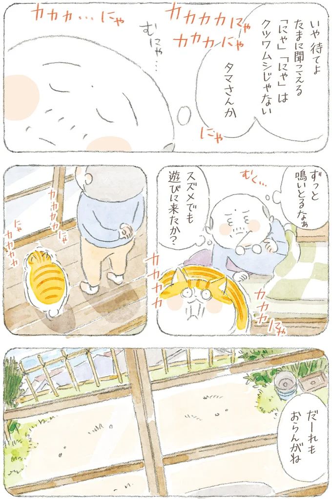 16341784.webp