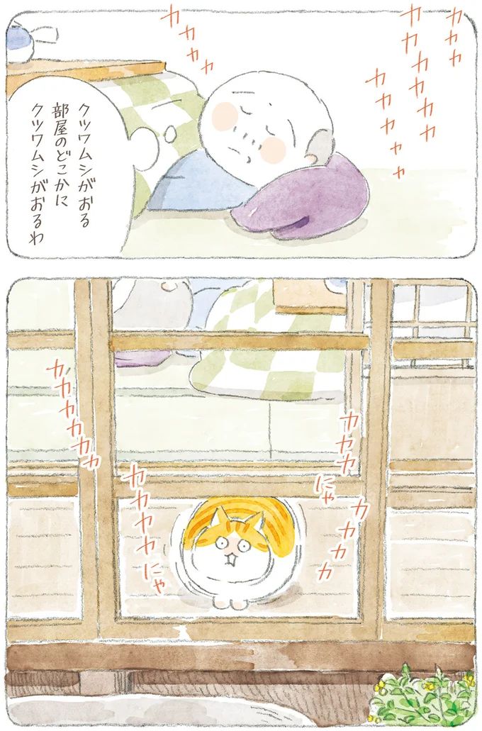 16341783.webp